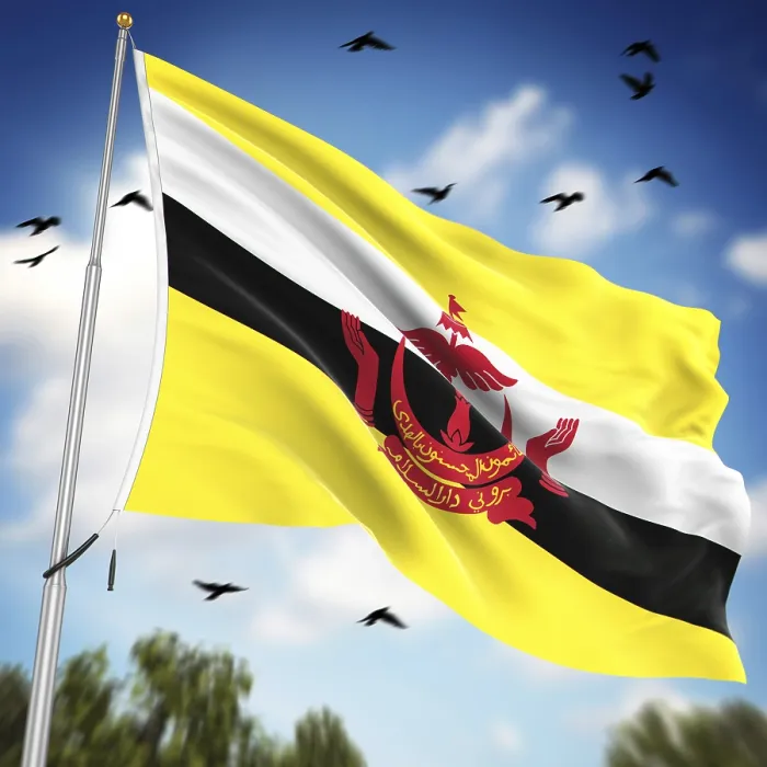 Framed Print : 3D Rendered Print of the Flag of Brunei