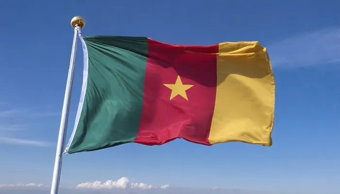 Framed Print : The Flag of Cameroon Print: Isolated Blue Sky Scene
