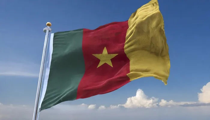 Framed Print : The Flag of Cameroon Print: Blue Sky Scene Framed Print : The Flag of Cameroon Print: Blue Sky Scene