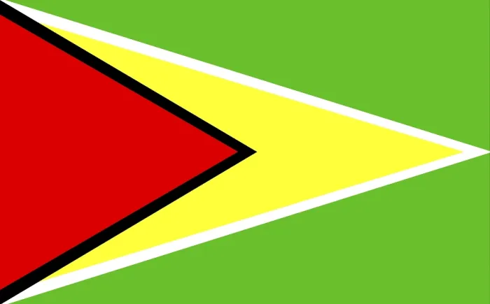 Framed Print : Guyana Flag Print