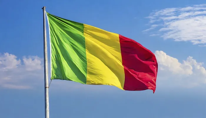 Framed Print : The Flag of Mali Print: Blue Sky Background Framed Print : The Flag of Mali Print: Blue Sky Background