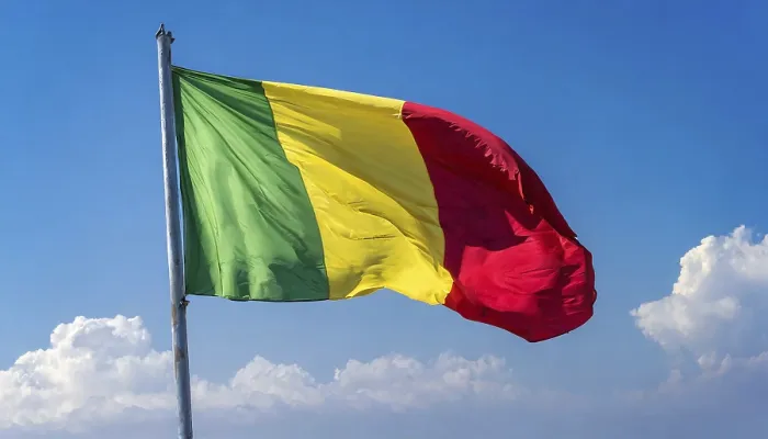 Framed Print : The Flag of Mali Print - Blue Sky Background