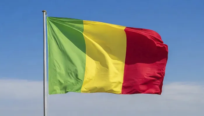 Framed Print : The Flag of Mali Print: Blue Sky Isolation Framed Print : The Flag of Mali Print: Blue Sky Isolation