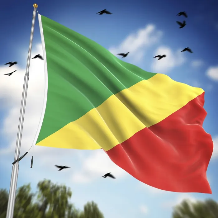Framed Print : 3D Rendered Print of the Republic of the Congo Flag
