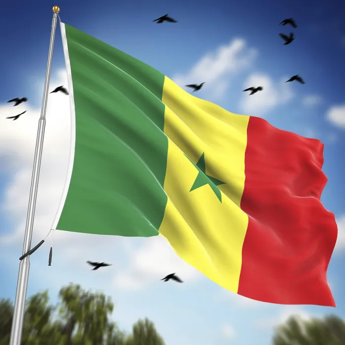 Framed Print : Computer Generated 3D Rendered Print of the Senegal Flag Framed Print : Computer Generated 3D Rendered Print of the Senegal Flag