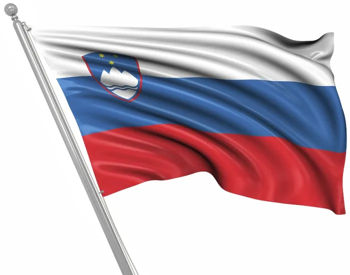 Framed Print : Computer Generated Flag of Slovenia Print Framed Print : Computer Generated Flag of Slovenia Print
