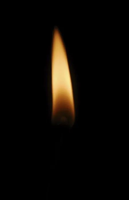 Framed Print : Flame Print by ImageBROKER Framed Print : Flame Print by ImageBROKER