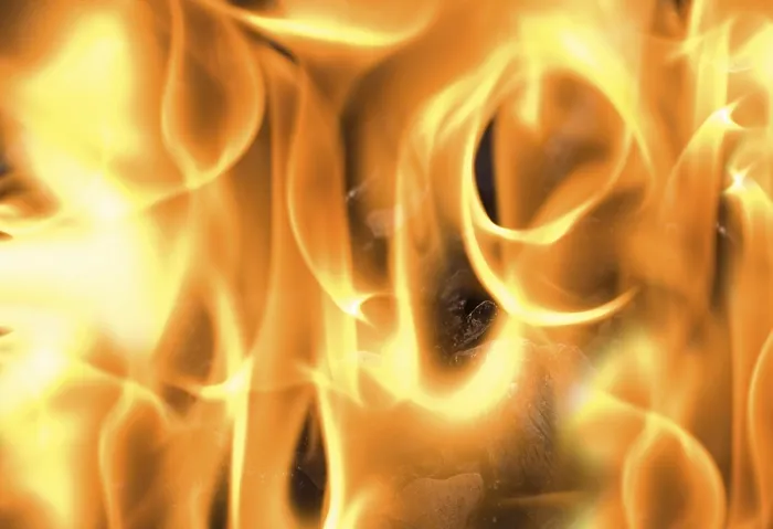Framed Print : Flames Print by imageBROKER Framed Print : Flames Print by imageBROKER