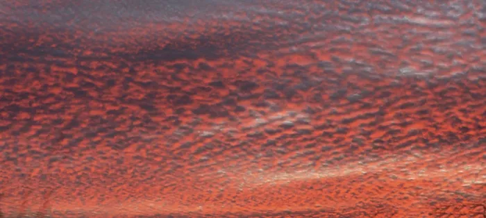 Framed Print : Fleecy clouds (Altocumulus) Print, Bavaria Evening Sky Framed Print : Fleecy clouds (Altocumulus) Print, Bavaria Evening Sky