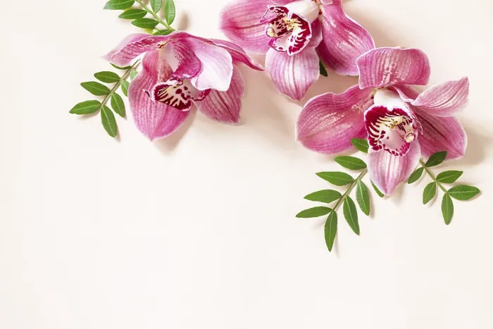 Framed Print : Tropical Floral Print Framed Print : Tropical Floral Print