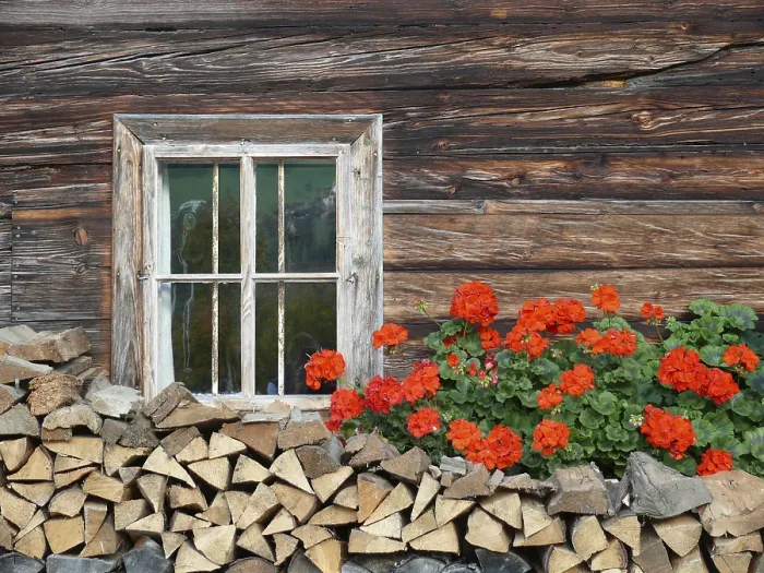 Framed Print : Flower Window Print Framed Print : Flower Window Print