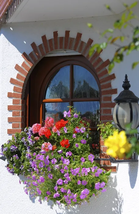 Framed Print : Flowers at the Window Print Framed Print : Flowers at the Window Print