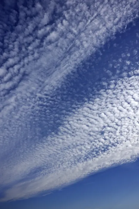 Framed Print : Fluffy Cirrocumulus Clouds Print, Bentin, Germany Framed Print : Fluffy Cirrocumulus Clouds Print, Bentin, Germany