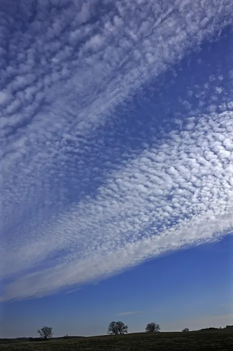 Framed Print : Cirrocumulus Clouds Print, Bentin, Germany Framed Print : Cirrocumulus Clouds Print, Bentin, Germany