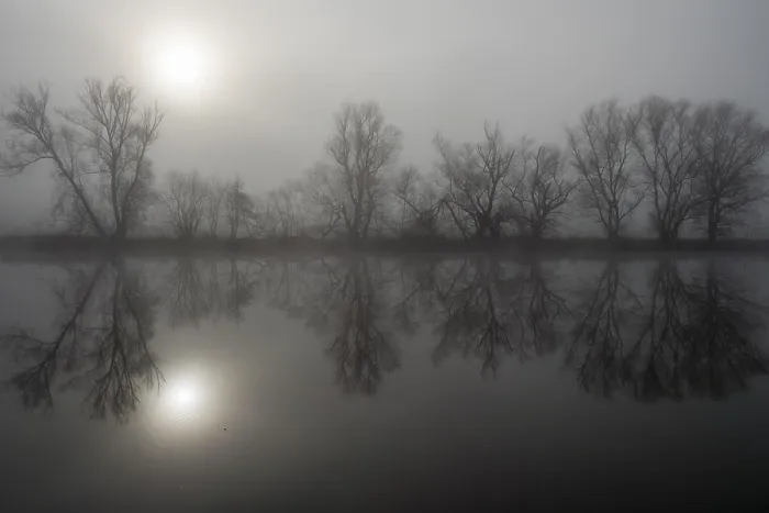 Framed Print : Foggy River Reflection Print, Hesse, Germany Framed Print : Foggy River Reflection Print, Hesse, Germany
