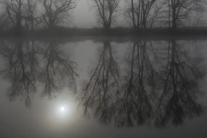 Framed Print : Fog, bare trees reflected in the river print, Hesse, Germany Framed Print : Fog, bare trees reflected in the river print, Hesse, Germany