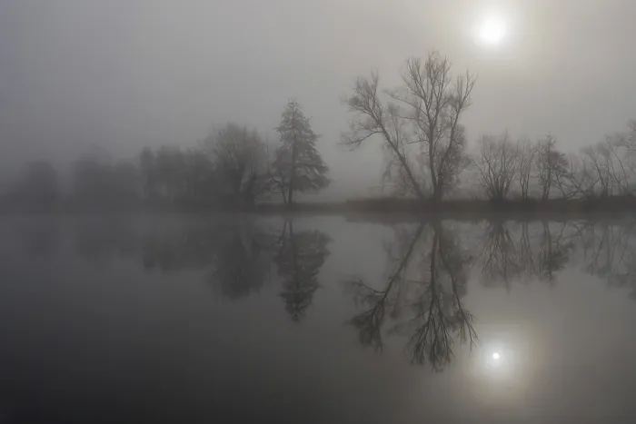 Framed Print : Fog, bare trees reflected in the river Print, Hesse, Germany Framed Print : Fog, bare trees reflected in the river Print, Hesse, Germany