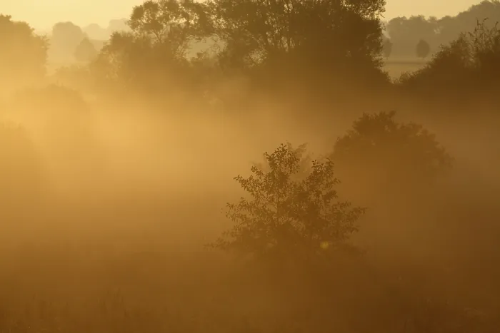 Framed Print : Fog over the meadows Print, Middle Elbe Biosphere Reserve, Germany