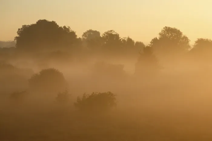 Framed Print : Fog over the meadows Print, Middle Elbe Biosphere Reserve, Germany Framed Print : Fog over the meadows Print, Middle Elbe Biosphere Reserve, Germany
