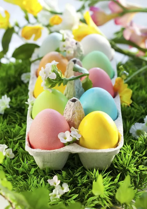 Framed Print : Colorful Easter Eggs in an Egg Box on Grass Print Framed Print : Colorful Easter Eggs in an Egg Box on Grass Print