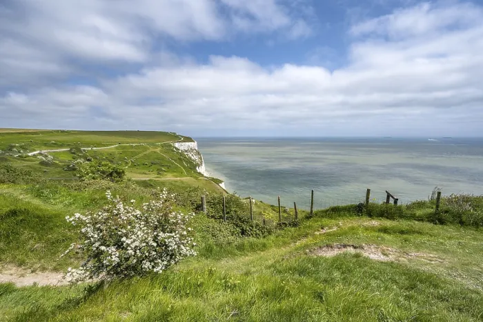 Framed Print : Footpath along the chalk cliffs of Dover Print, Kent, England Framed Print : Footpath along the chalk cliffs of Dover Print, Kent, England