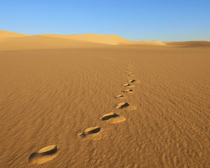 Framed Print : Sunlit Desert Footprints Print, Great Sand Sea, Egypt Framed Print : Sunlit Desert Footprints Print, Great Sand Sea, Egypt