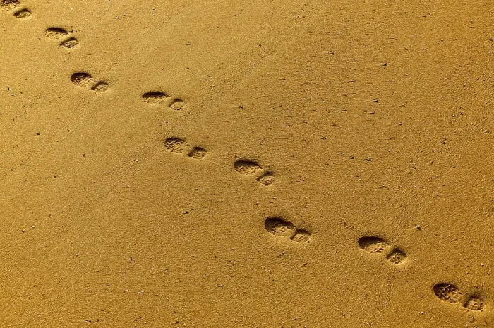 Framed Print : Footprints in the Sand Print