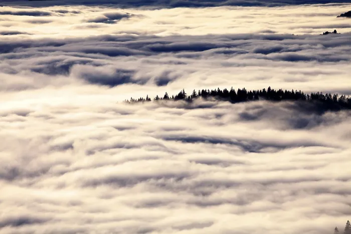 Framed Print : Feldberg Forest Print: Cloud Level Inversion Framed Print : Feldberg Forest Print: Cloud Level Inversion