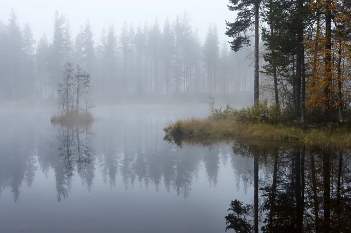 Framed Print : A Forest Lake Print Framed Print : A Forest Lake Print