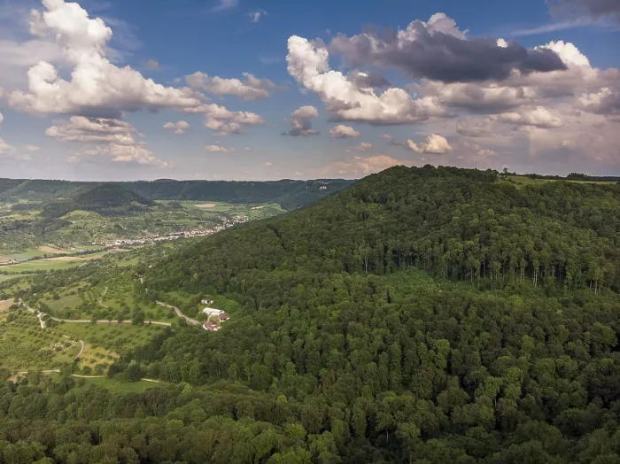 Framed Print : Aerial View Forest Landscape Print Framed Print : Aerial View Forest Landscape Print