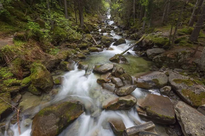 Framed Print : Alpine Stream Print - Spring Serenity Framed Print : Alpine Stream Print - Spring Serenity