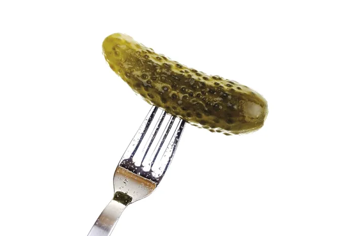 Framed Print : Print of Fork holding a pickle Framed Print : Print of Fork holding a pickle
