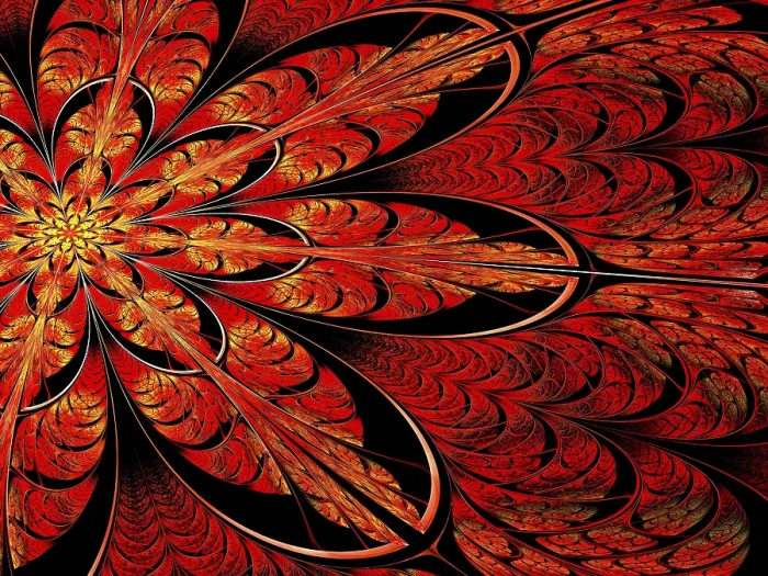 Framed Print : Fractal Flower Abstract Print Framed Print : Fractal Flower Abstract Print
