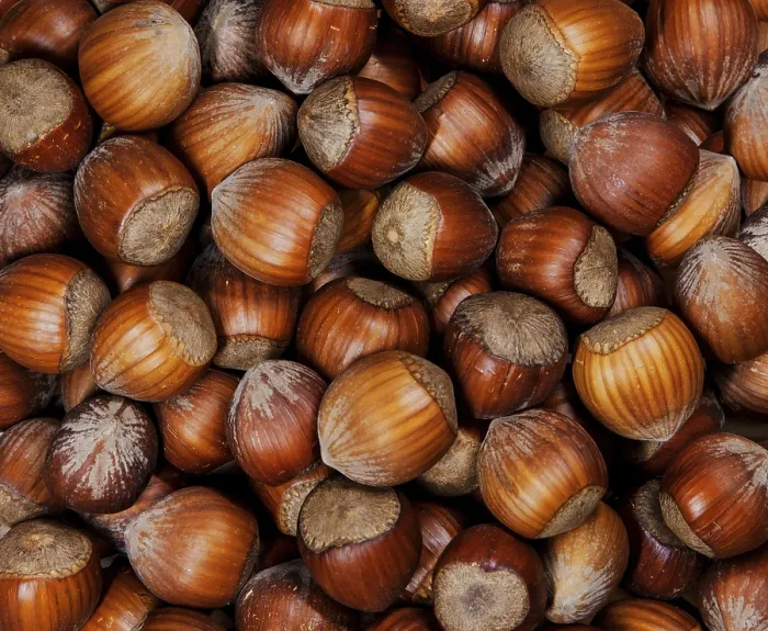 Framed Print : Organic Hazelnuts Print - Close-Up Autumn Texture
