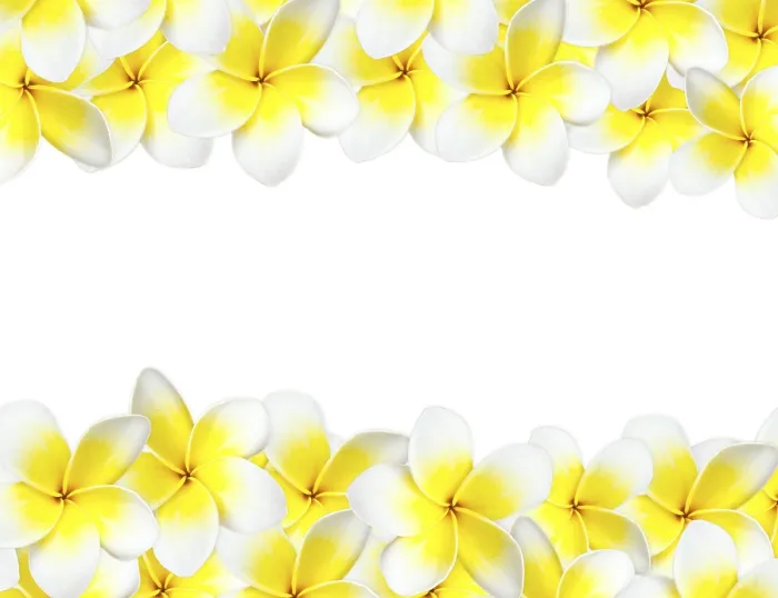 Framed Print : Frangipani Print with Copyspace Framed Print : Frangipani Print with Copyspace