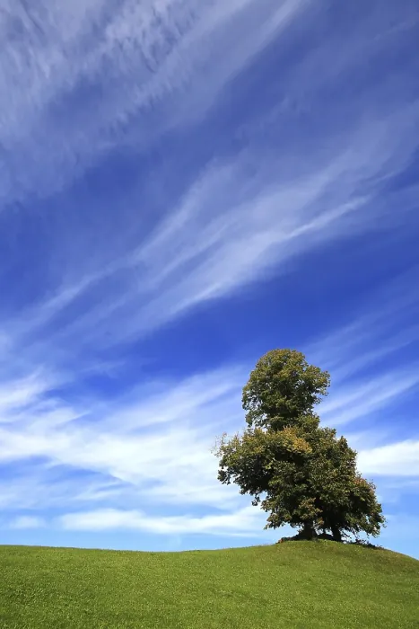 Framed Print : Free-standing Tree Print - Dramatic Hillside Landscape