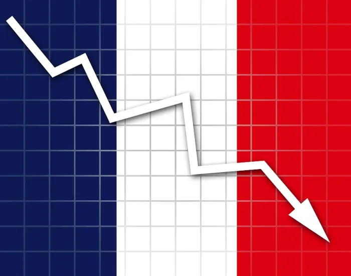 Framed Print : French Flag and Arrow Graph Print