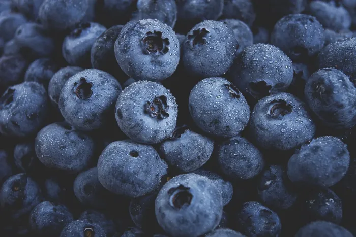 Framed Print : Blueberry Print, Close-Up Framed Print : Blueberry Print, Close-Up