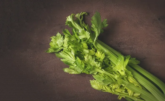 Framed Print : Dark Background Celery Print Framed Print : Dark Background Celery Print