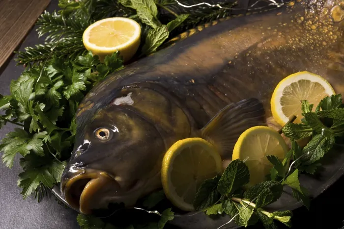 Framed Print : Fresh Carp Print Framed Print : Fresh Carp Print