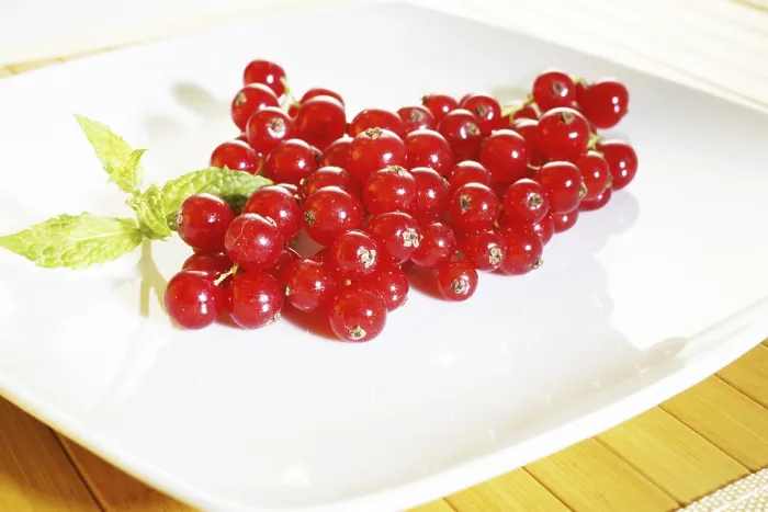 Framed Print : Fresh Currants, Mint Print Framed Print : Fresh Currants, Mint Print