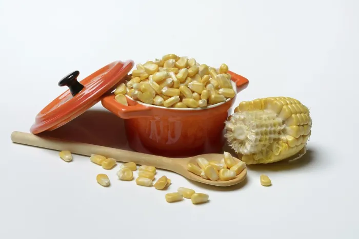Framed Print : Fresh Maize Kernels Print, Corn (Zea mays) Framed Print : Fresh Maize Kernels Print, Corn (Zea mays)