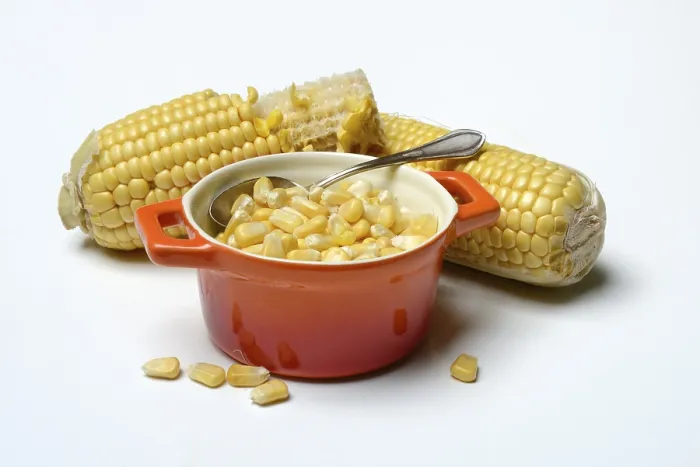 Framed Print : Fresh Maize Kernels Print in Pots and Cobs Framed Print : Fresh Maize Kernels Print in Pots and Cobs