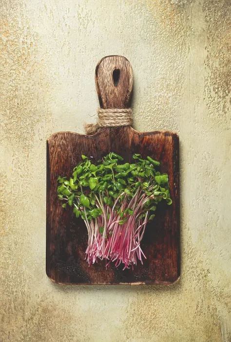 Framed Print : Fresh Micro-Greens and Beetroot Sprouts Print