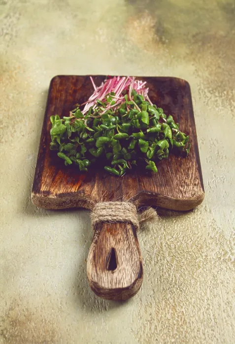 Framed Print : Fresh Micro-Greens and Beetroot Sprouts Print Framed Print : Fresh Micro-Greens and Beetroot Sprouts Print