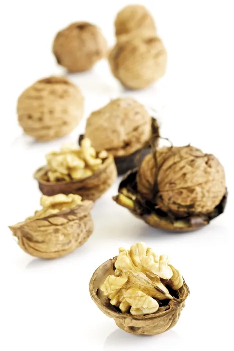 Framed Print : Fresh Walnuts Print Framed Print : Fresh Walnuts Print