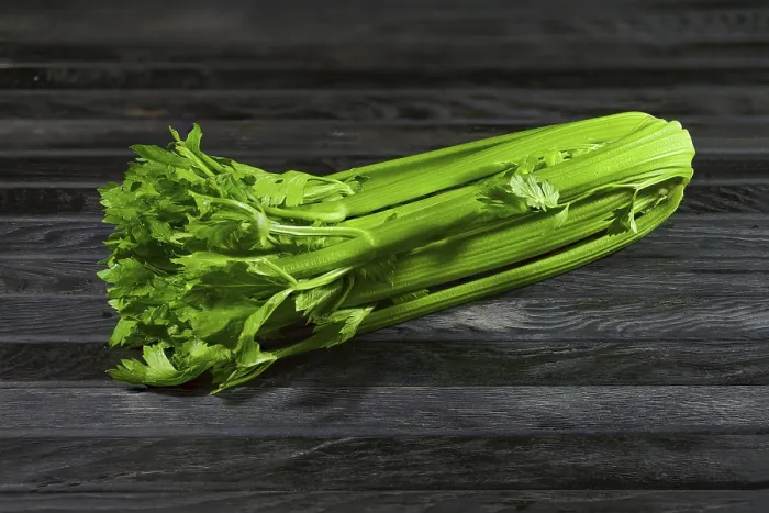 Framed Print : Fresh Wet Celery Print on Old Kitchen Table Framed Print : Fresh Wet Celery Print on Old Kitchen Table