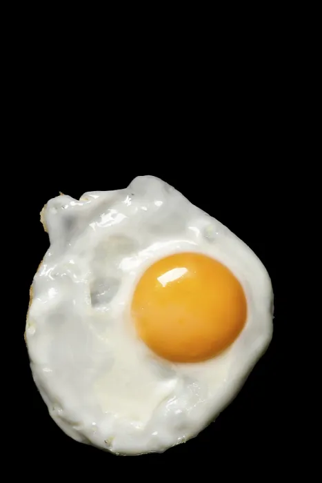 Framed Print : Fried Egg Print Framed Print : Fried Egg Print