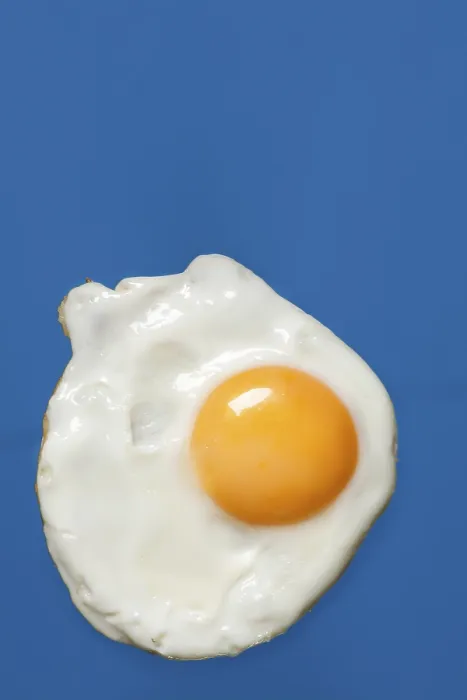 Framed Print : Fried Egg Print by imageBROKER Framed Print : Fried Egg Print by imageBROKER