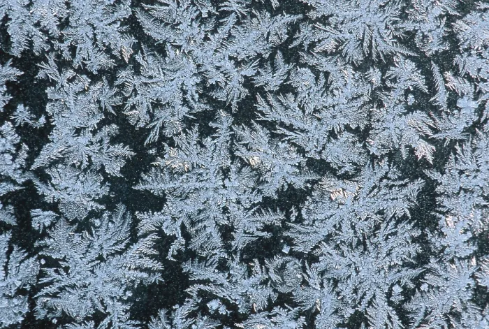 Framed Print : Frostwork on Window Print Framed Print : Frostwork on Window Print
